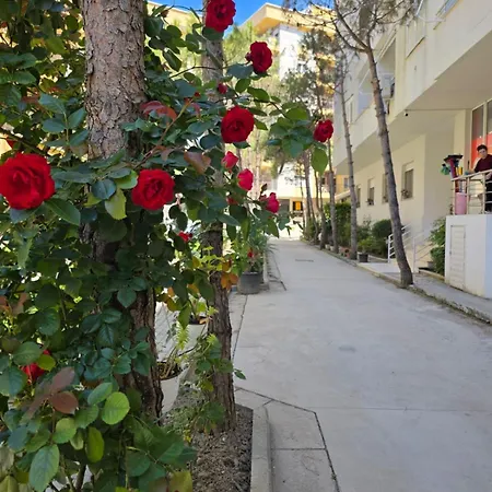 Appartement Bledi's Apartments-qerret 1 *